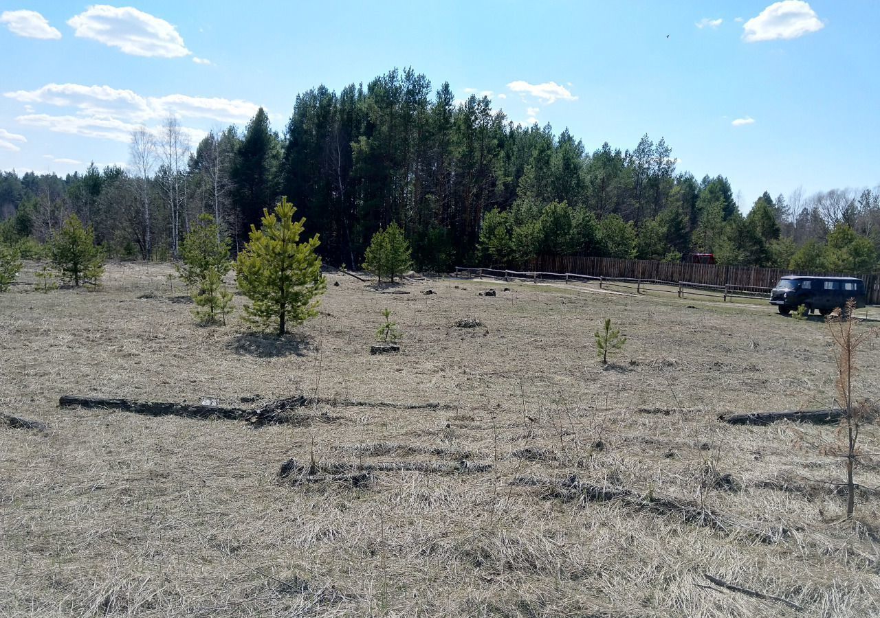 земля р-н Богородский д Ключищи Ворсма фото 7