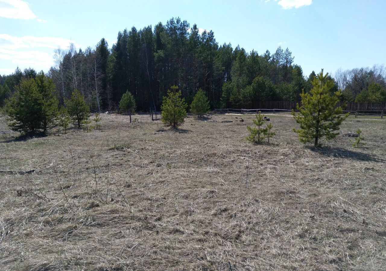 земля р-н Богородский д Ключищи Ворсма фото 10