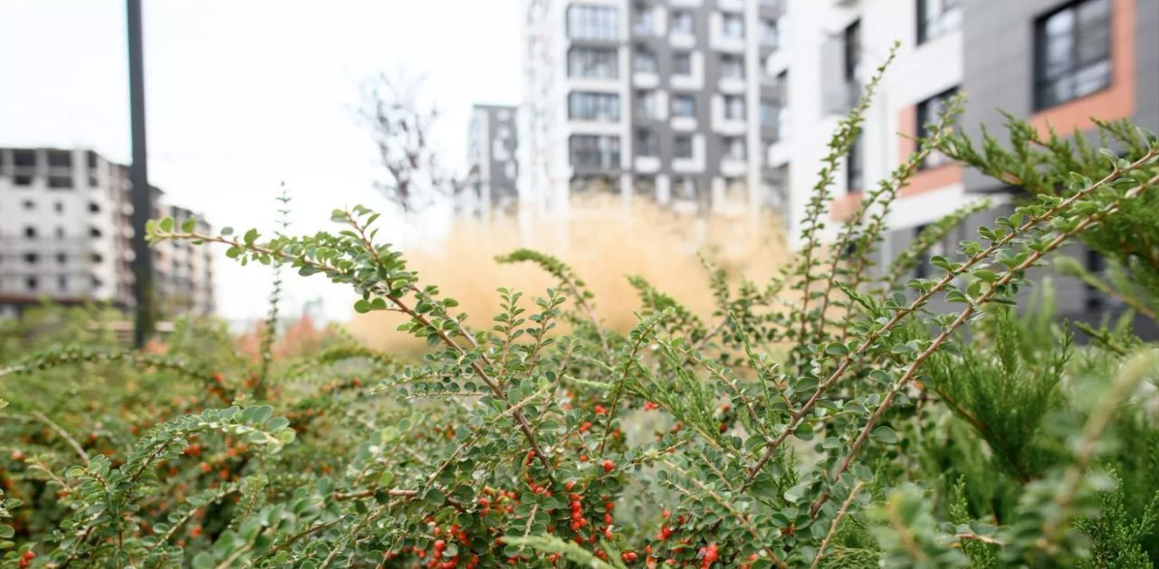 квартира г Батайск ул Ушинского 29к/2 фото 9