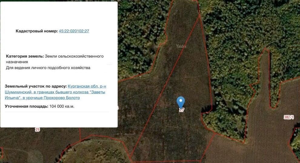 земля р-н Шумихинский с Большая Рига Шумиха фото 3