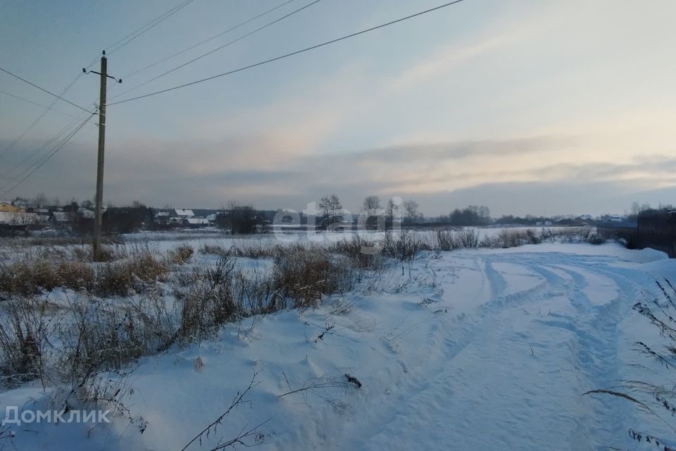 земля городской округ Раменский деревня Сафоново фото 2