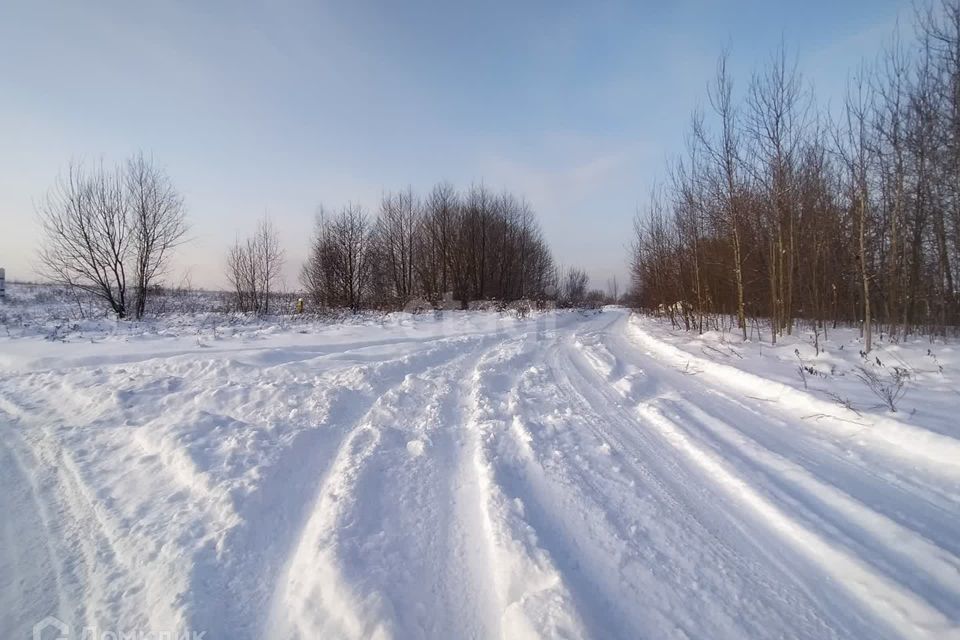 земля городской округ Раменский деревня Сафоново фото 4