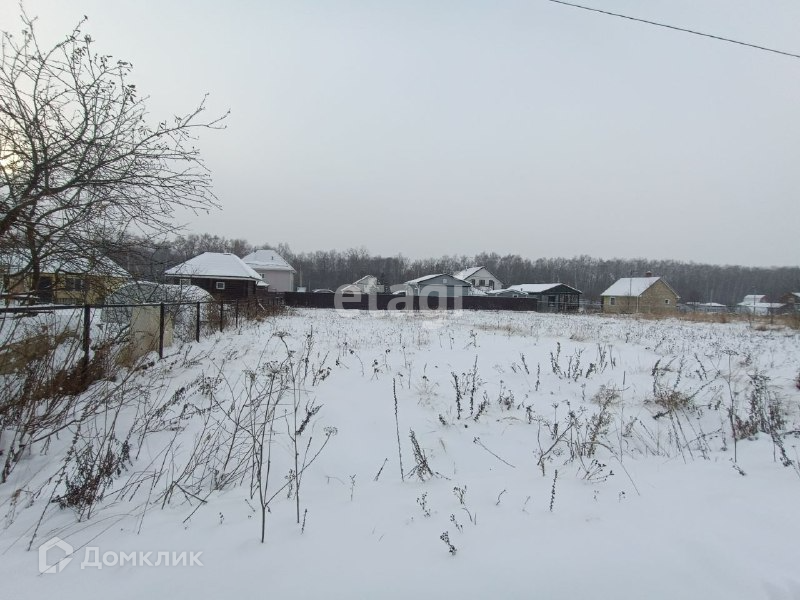 земля городской округ Воскресенск садовые участки Шишкин лес фото 3