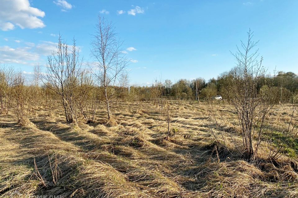 земля городской округ Наро-Фоминский д Шустиково 228 фото 10