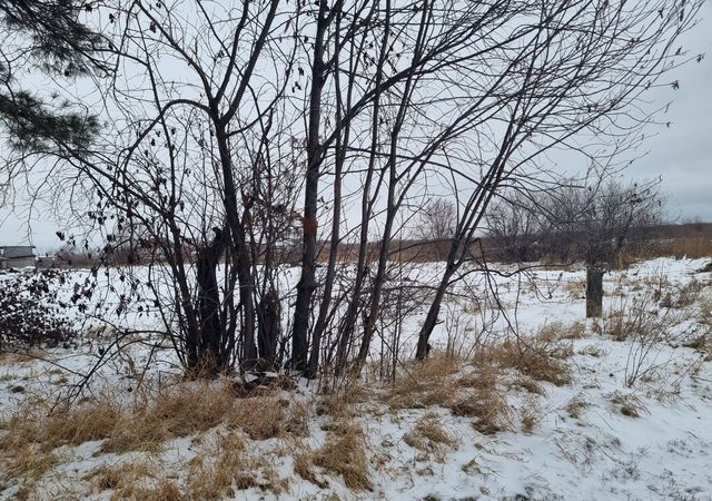 ул Мелиораторов Башковское сельское поселение, Тобольск фото