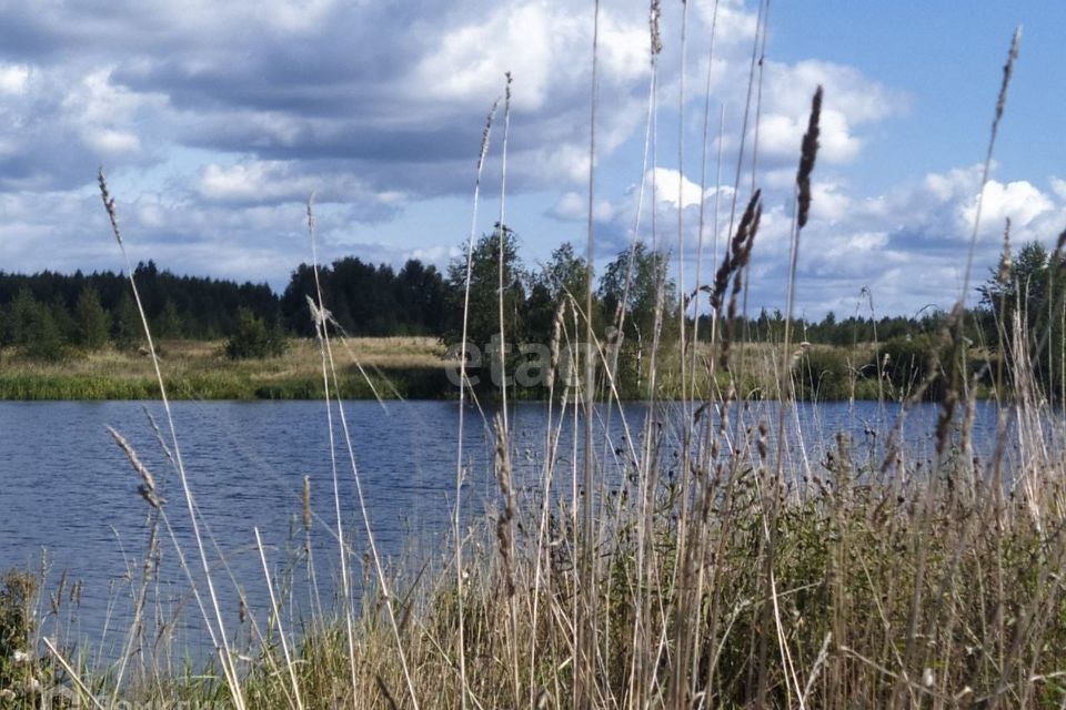 земля р-н Ярославский село Толбухино фото 4