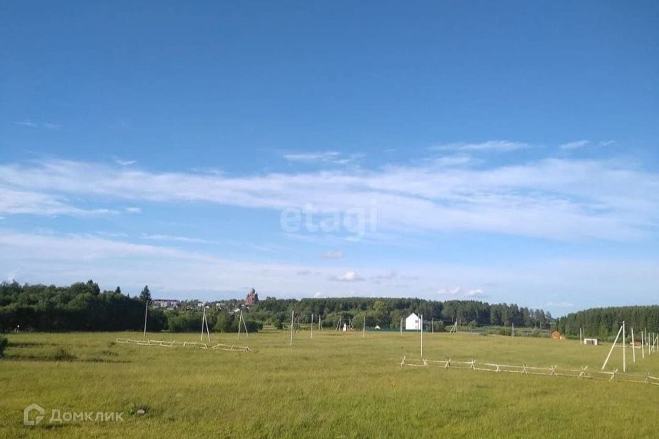 земля р-н Даниловский д Конищево ул Дачная фото 2