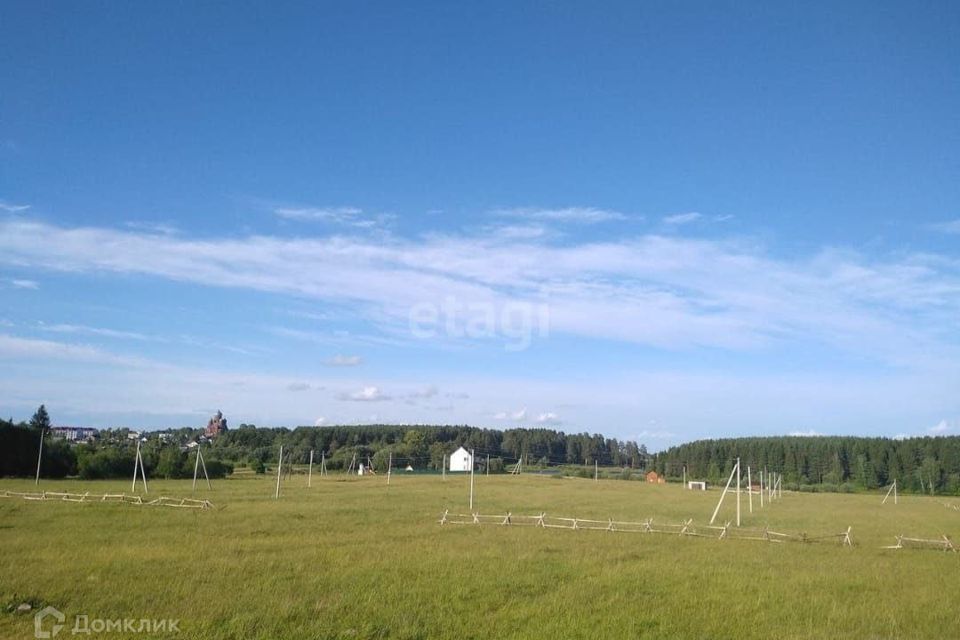 земля р-н Даниловский д Конищево ул Дачная фото 4