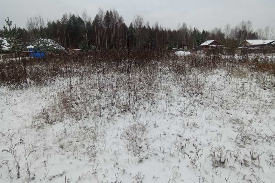 земля р-н Вельский СОТ Тополёк-2 фото 1