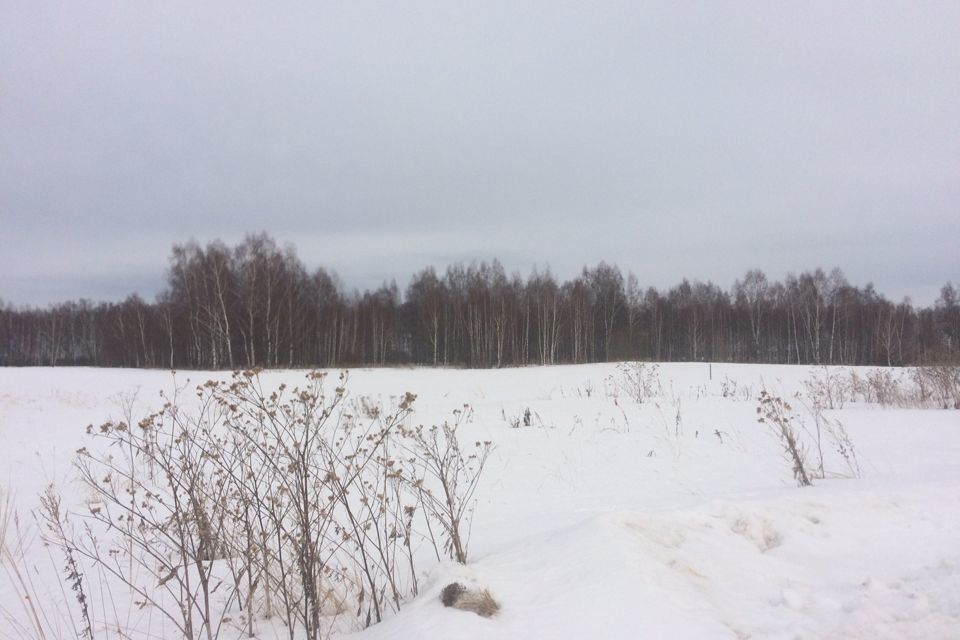 земля городской округ Бор, деревня Подкопайки фото 1