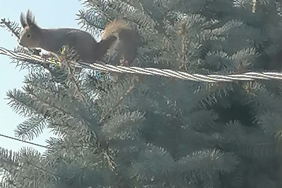 дом городской округ Волгоград, СНТ Энергетик, Лесная улица фото 1