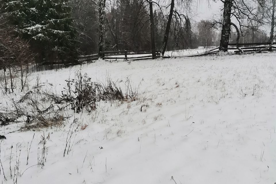 земля Чайковский городской округ, деревня Романята фото 1