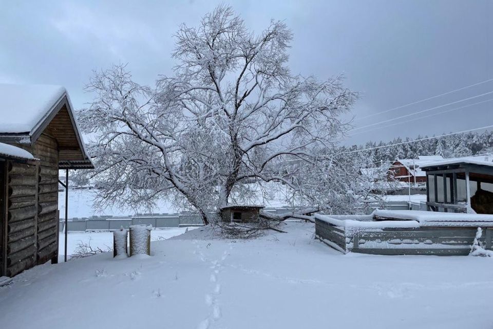 земля р-н Курский д Долгое 169А фото 1