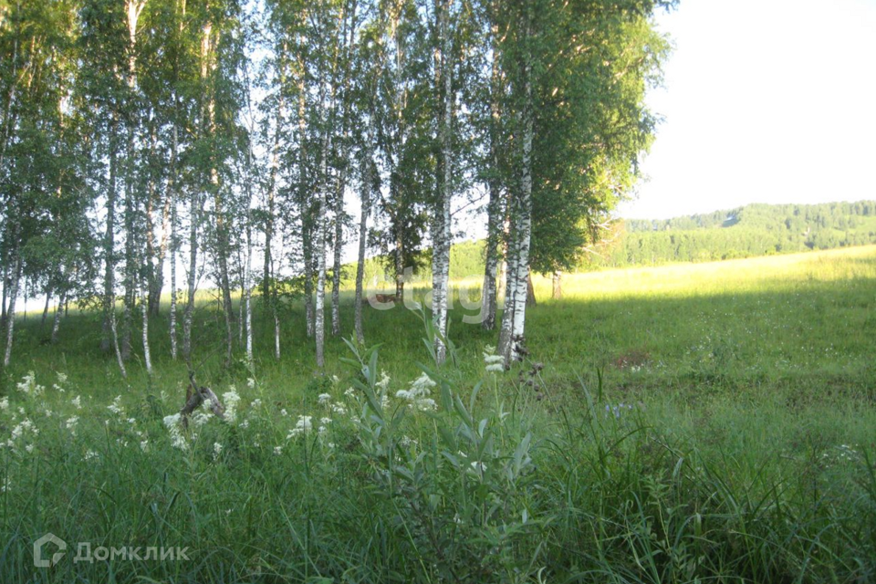 земля р-н Алтайский с Нижнекаянча ул Центральная 54 фото 1