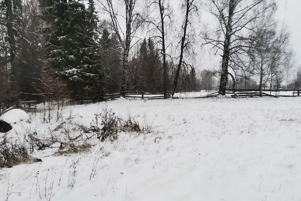 земля Чайковский городской округ, деревня Романята фото 2