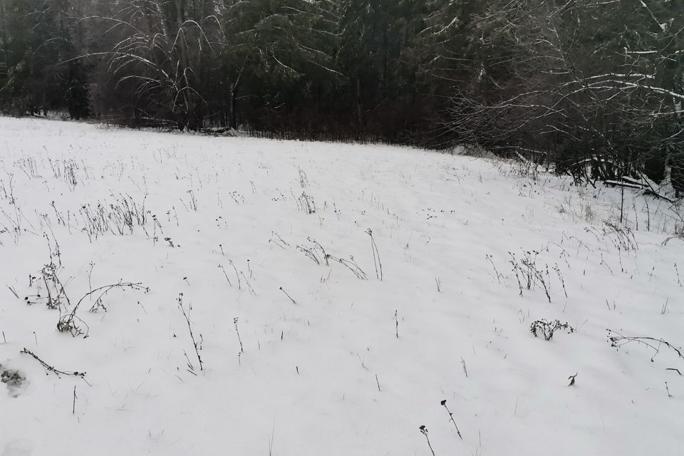 земля Чайковский городской округ, деревня Романята фото 4