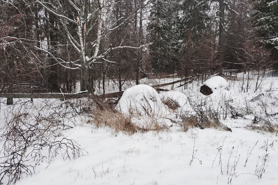 земля Чайковский городской округ, деревня Романята фото 3