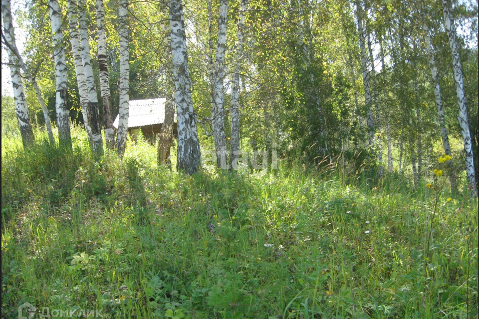 земля р-н Алтайский с Нижнекаянча ул Центральная 54 фото 2