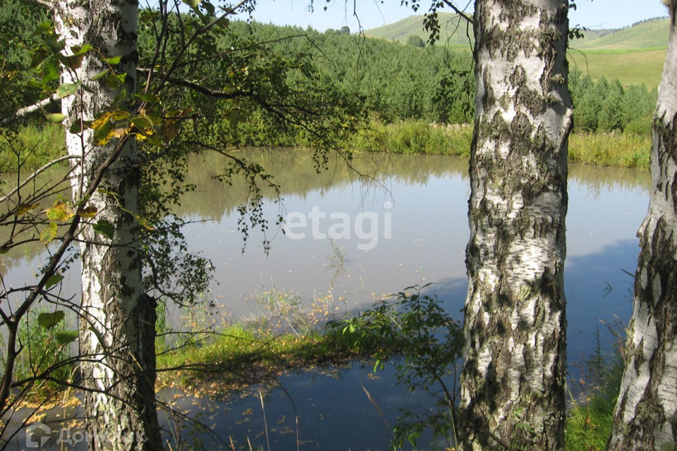 земля р-н Алтайский с Нижнекаянча ул Центральная 54 фото 4