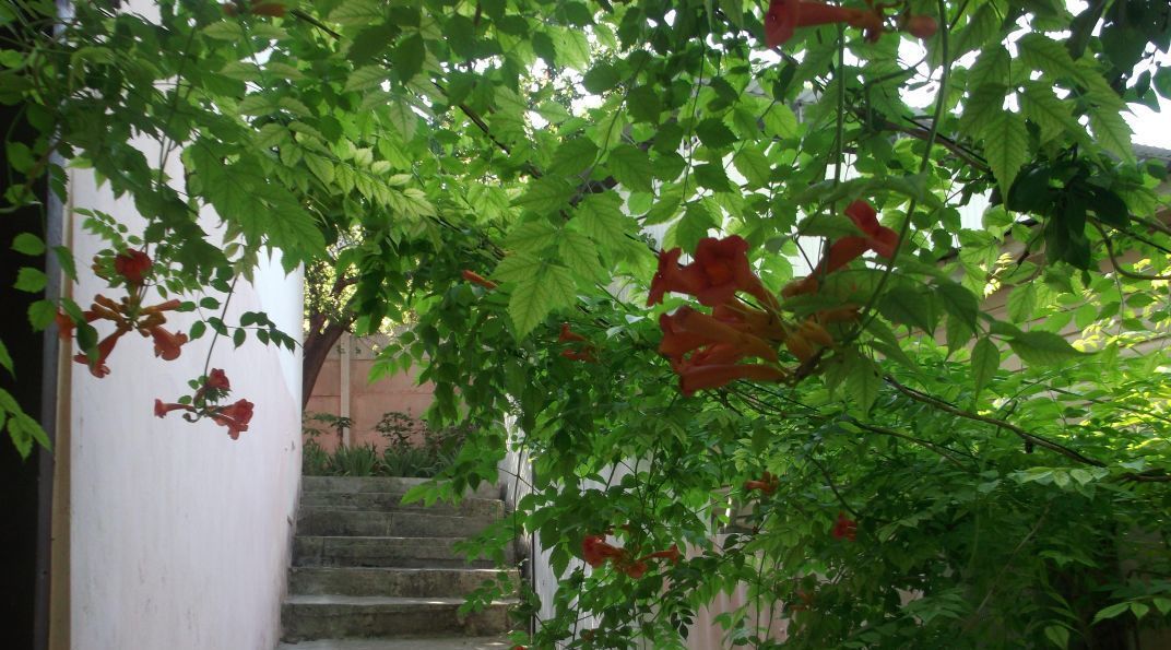дом р-н Бахчисарайский с Красный Мак ул Ленина фото 6