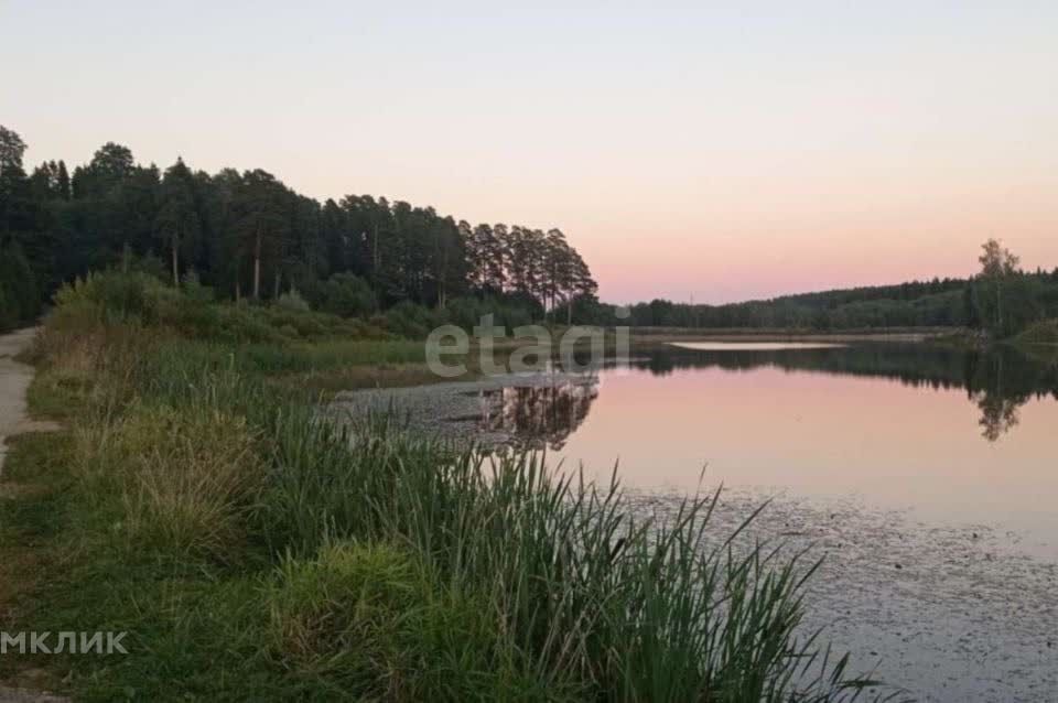 земля р-н Даниловский д Конищево ул Дачная фото 8