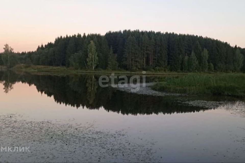 земля р-н Даниловский д Конищево ул Дачная фото 9