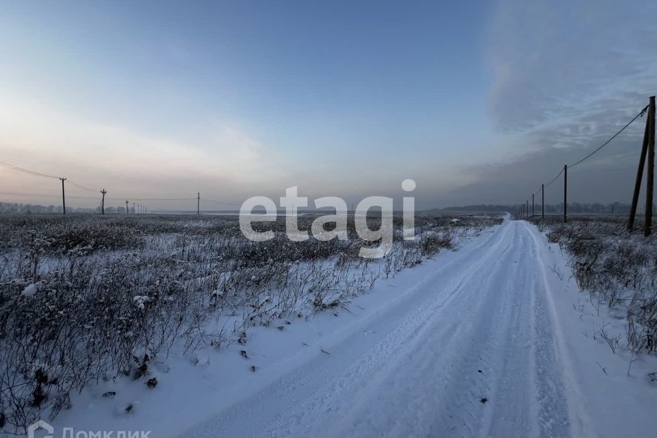 земля р-н Емельяновский село Дрокино фото 5