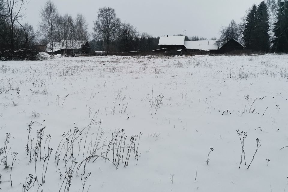 земля Чайковский городской округ, деревня Романята фото 5