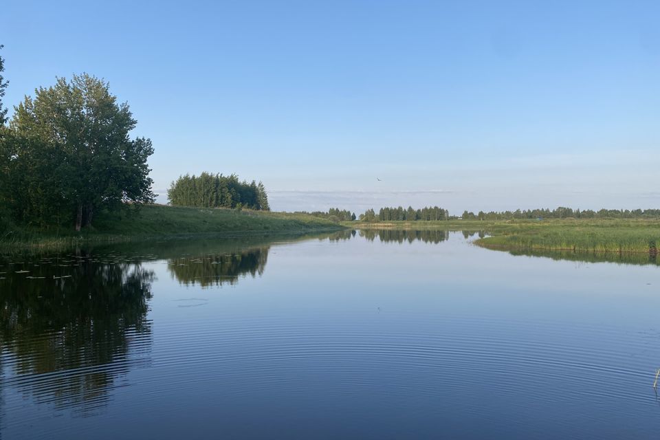 земля р-н Некрасовский д Мишнево ул Берёзовая сельское поселение Красный Профинтерн фото 10