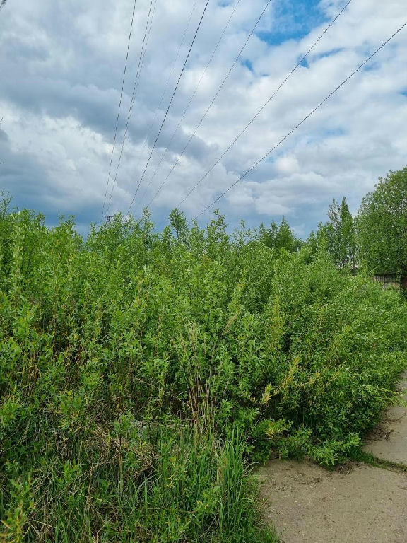 земля городской округ Солнечногорск д Лигачёво фото 31