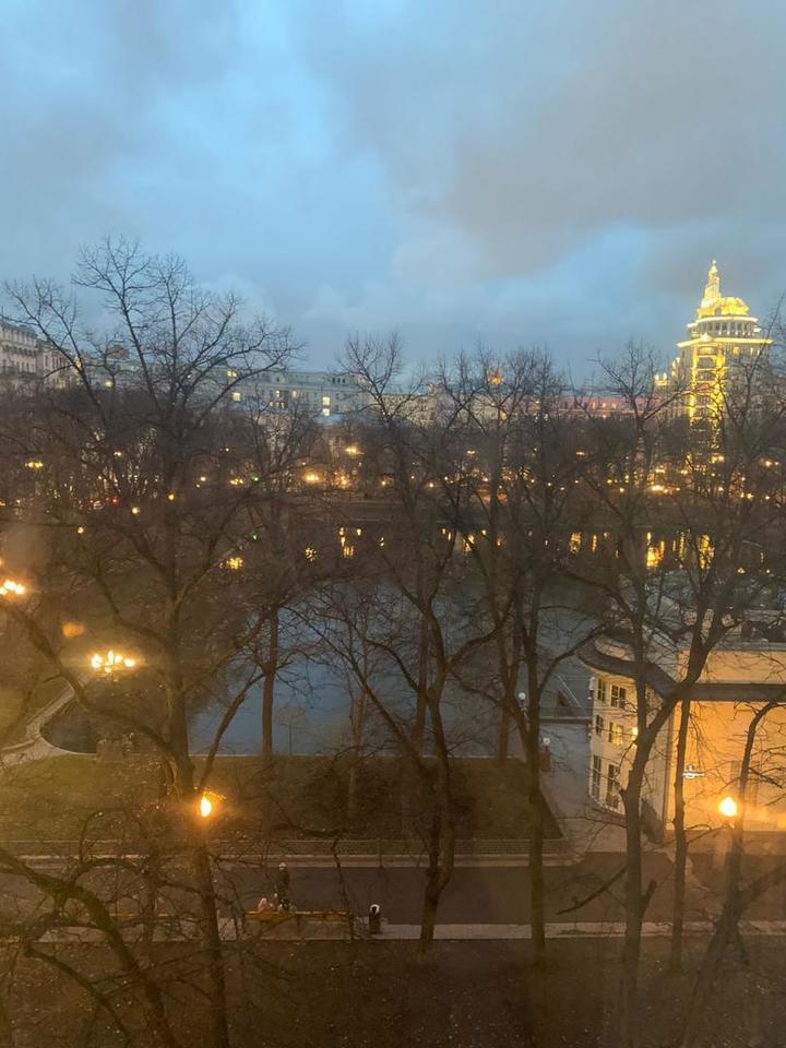 квартира г Москва метро Пушкинская пер Большой Патриарший 10 фото 14