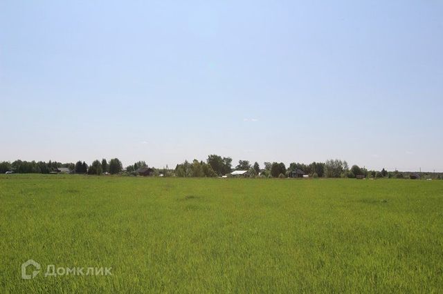 р-н Вологодский деревня Карцево фото