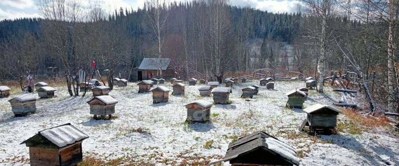 земля р-н Чойский с Чоя фото 8