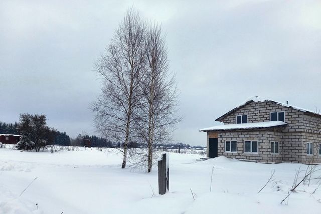 деревня Малое Рейзино фото