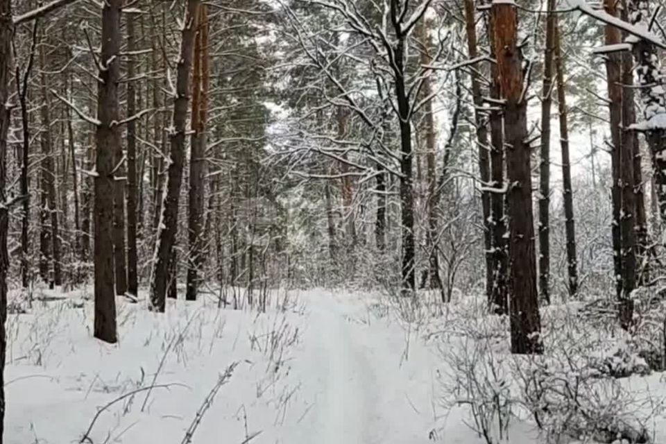 земля городской округ Чехов деревня Дмитровка фото 1