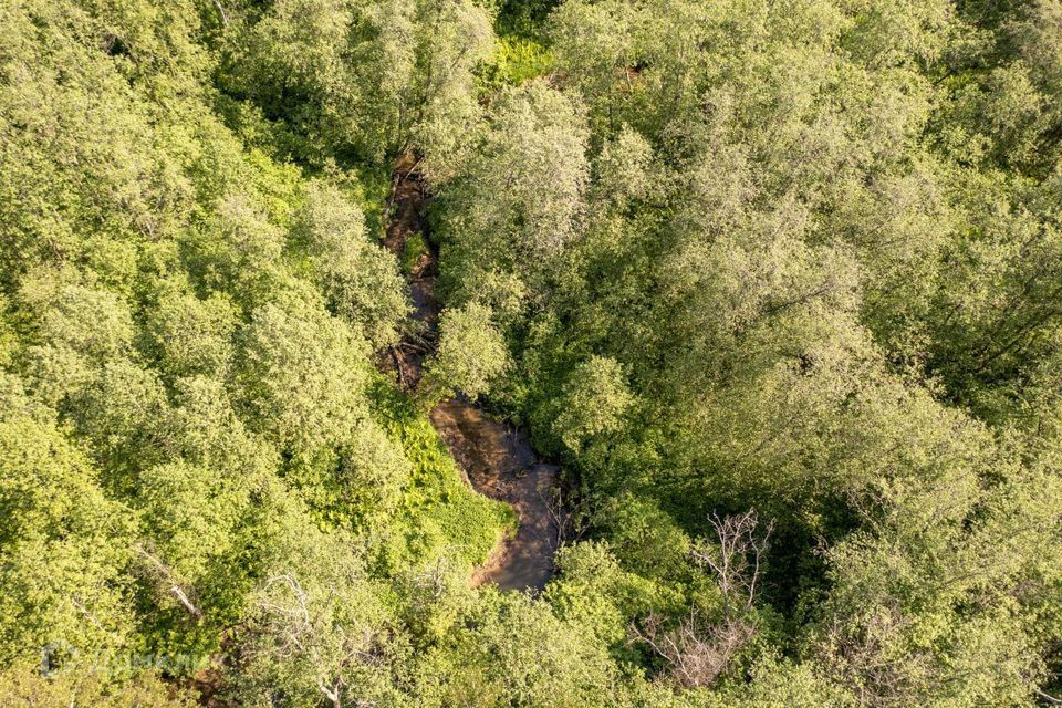 земля городской округ Истра коттеджный посёлок Сканди парк фото 3