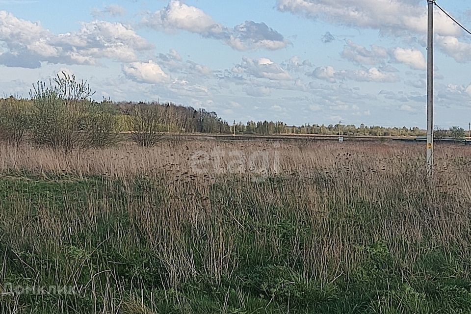 земля р-н Зеленоградский СНТ Сосновка фото 2