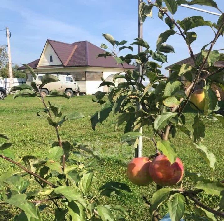 дом р-н Ярковский с Бачелино ул Кооперативная фото 36