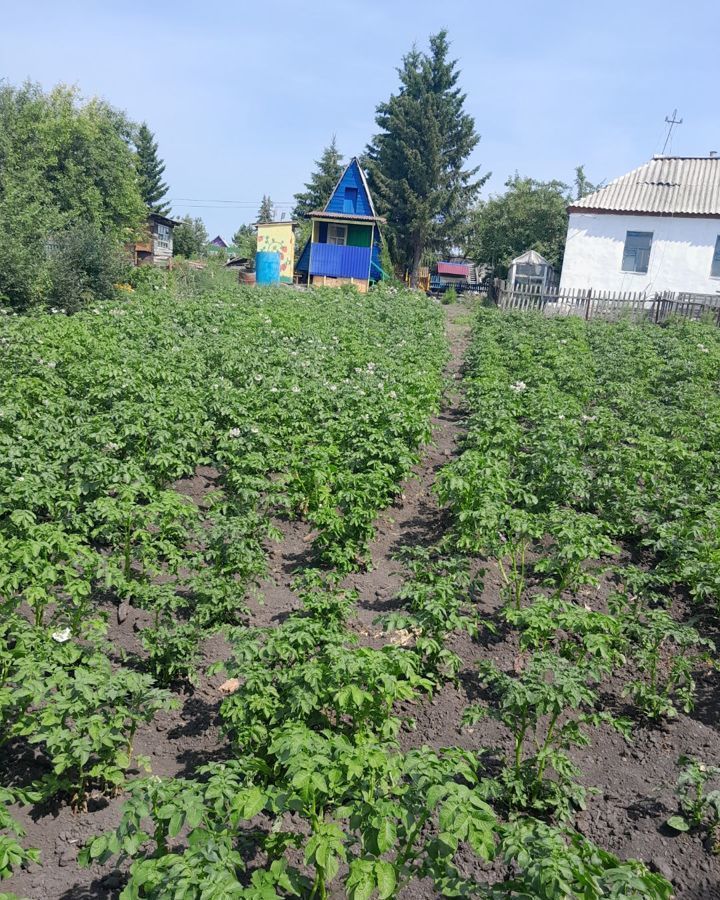 дом р-н Калачинский д Стародубка Воскресенское сельское поселение, Калачинск фото 6