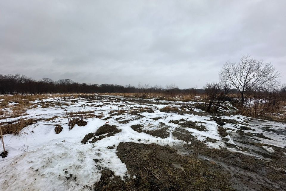 земля городской округ Южно-Сахалинск, село Березняки фото 3