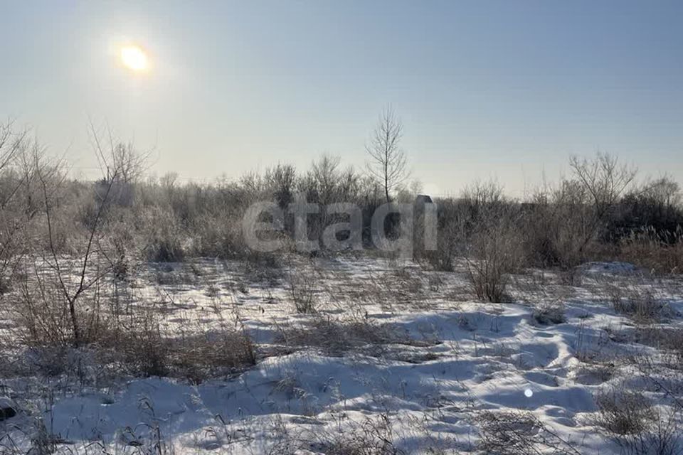 земля городской округ Абакан, СОСН Подсинее-Сирень, улица Энтузиастов, 93 фото 2