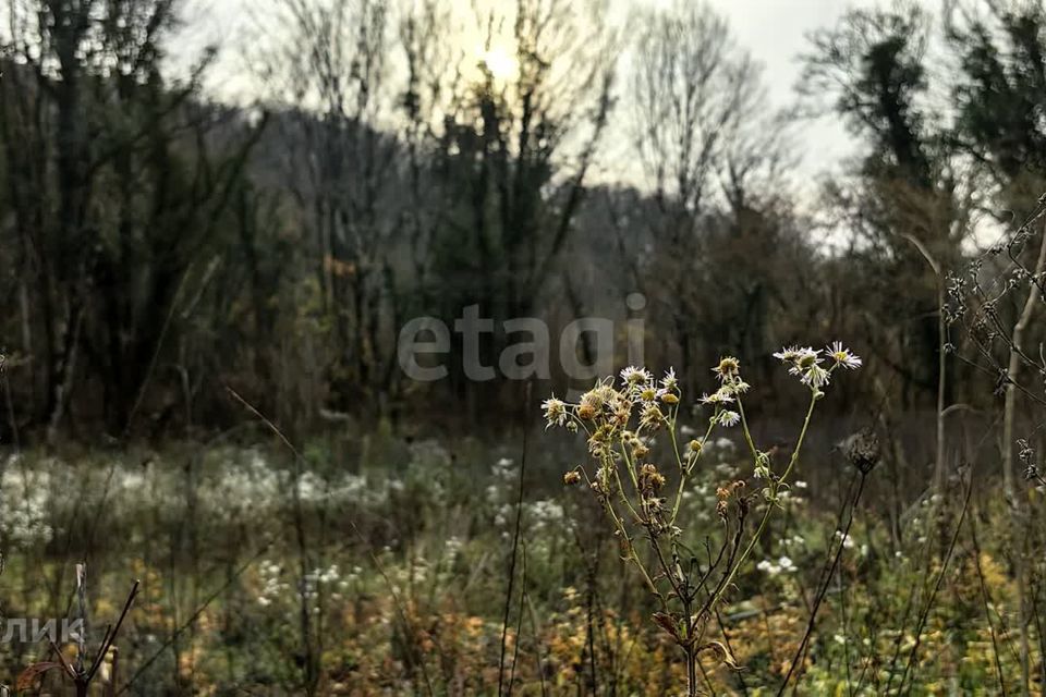 земля р-н Туапсинский с Ольгинка тер. ГСК Сигнал фото 9