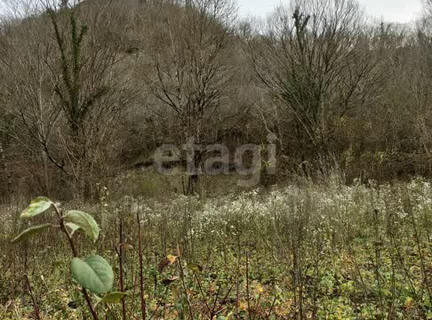 земля р-н Туапсинский с Ольгинка тер. ГСК Сигнал фото 6