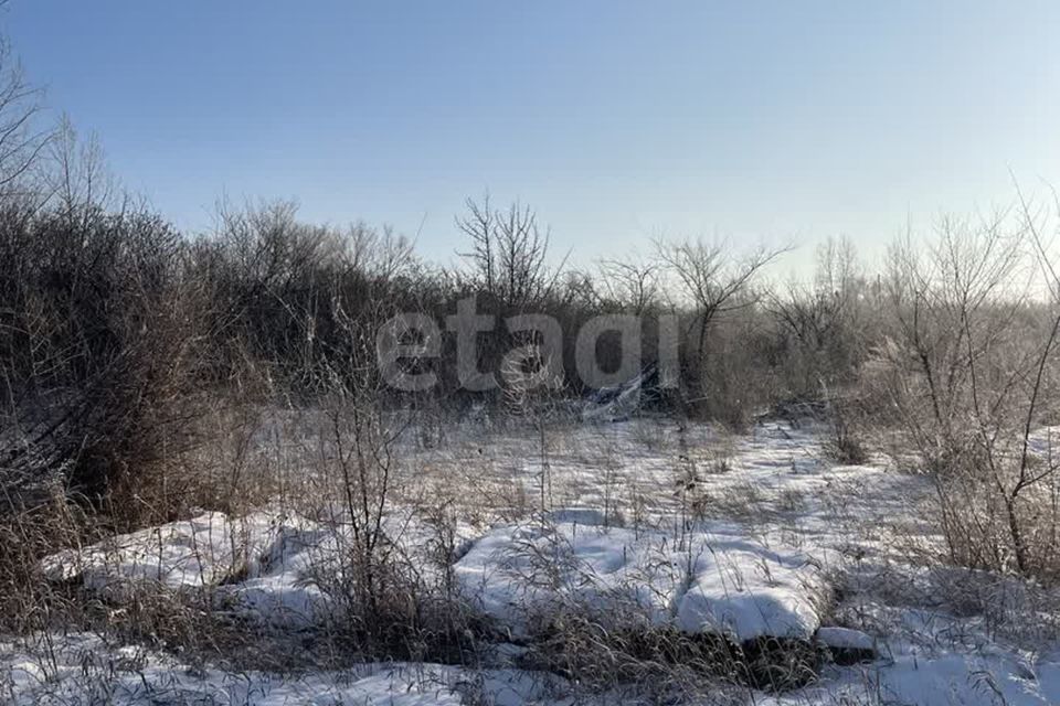 земля городской округ Абакан, СОСН Подсинее-Сирень, улица Энтузиастов, 93 фото 5