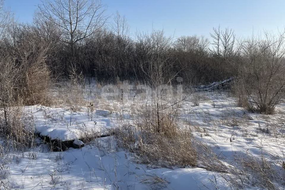 земля городской округ Абакан, СОСН Подсинее-Сирень, улица Энтузиастов, 93 фото 8