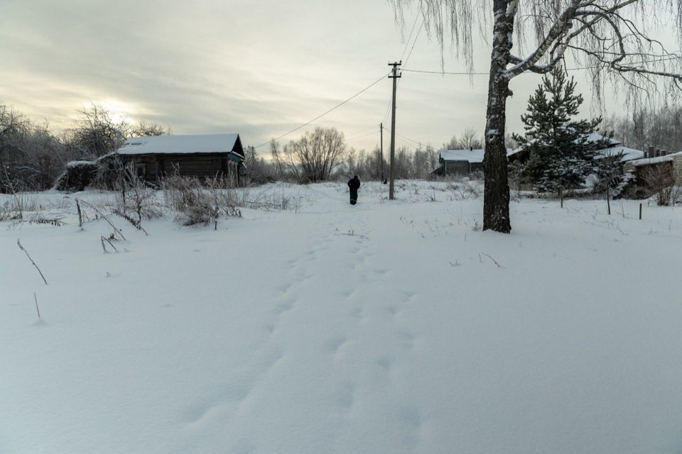 земля р-н Богородский деревня Санниково фото 1