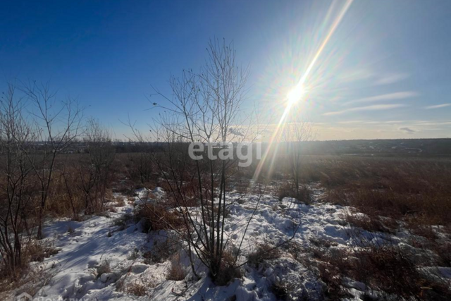 село Верхнеблаговещенское, городской округ Благовещенск фото