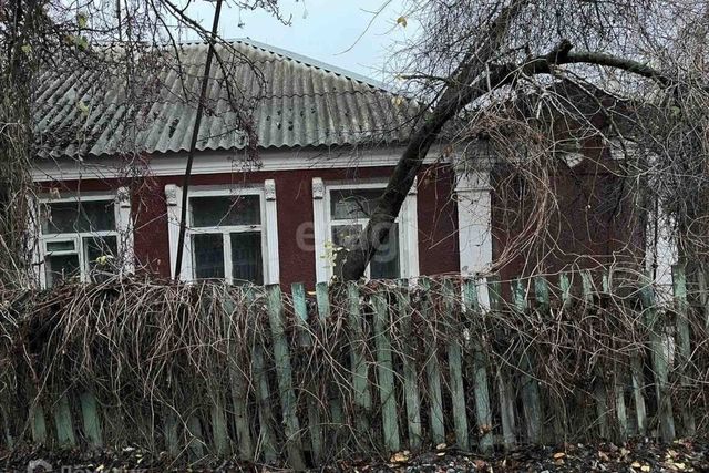 муниципальное образование Белгород фото