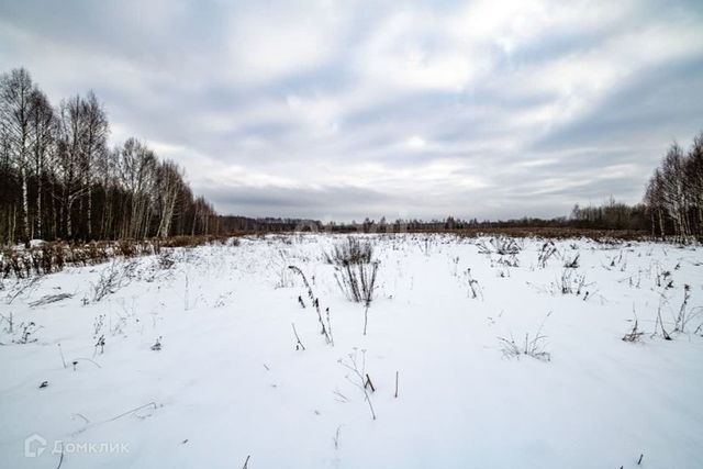 земля деревня Максимовское фото
