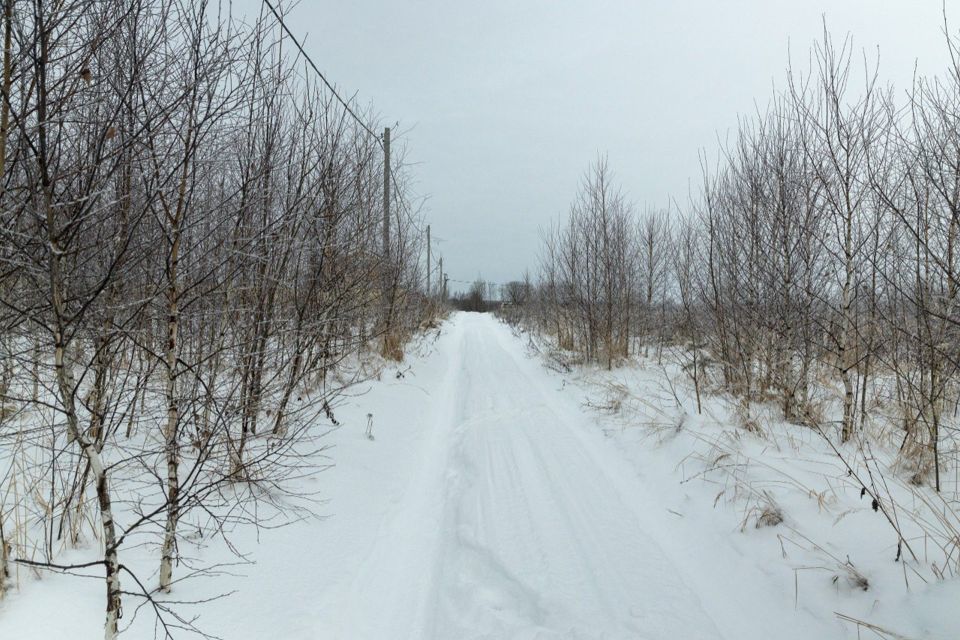 земля р-н Богородский деревня Санниково фото 2